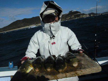 大進丸（愛知） 釣果