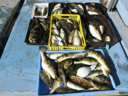 大進丸（愛知） 釣果