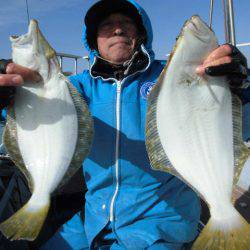 大進丸（愛知） 釣果