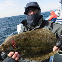 大進丸（愛知） 釣果