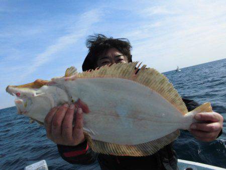 大進丸（愛知） 釣果