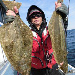 大進丸（愛知） 釣果