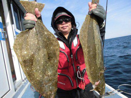 大進丸（愛知） 釣果