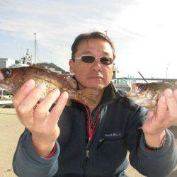 大進丸（愛知） 釣果