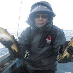 大進丸（愛知） 釣果