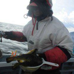 大進丸（愛知） 釣果