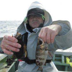 大進丸（愛知） 釣果