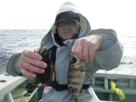 大進丸（愛知） 釣果