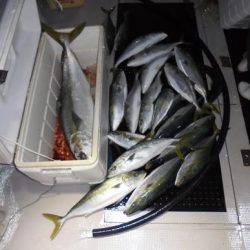 HARUKA丸 はるかまる 釣果