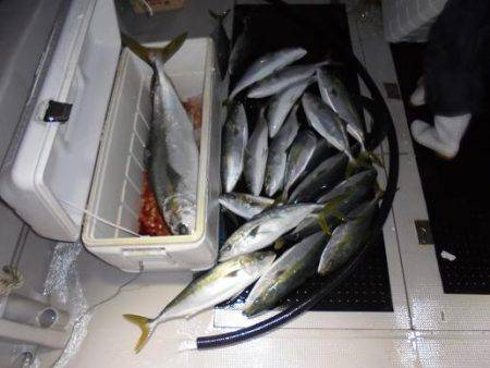 HARUKA丸 はるかまる 釣果