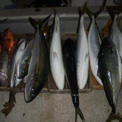 HARUKA丸 はるかまる 釣果