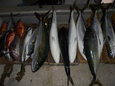 HARUKA丸 はるかまる 釣果