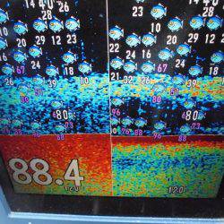 ＨＡＲＵＫＡ丸　はるかまる 釣果