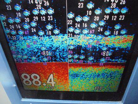 ＨＡＲＵＫＡ丸　はるかまる 釣果