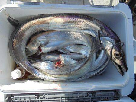 HARUKA丸 はるかまる 釣果