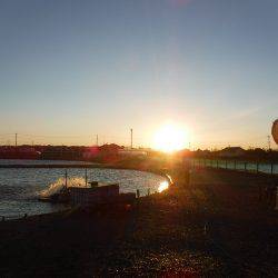 浜名湖フィッシングリゾート 釣果