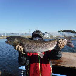 浜名湖フィッシングリゾート 釣果