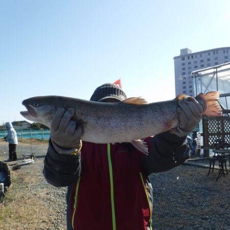 浜名湖フィッシングリゾート 釣果