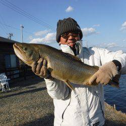 浜名湖フィッシングリゾート 釣果