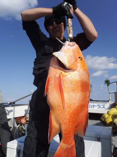 ALCATRAZ 釣果
