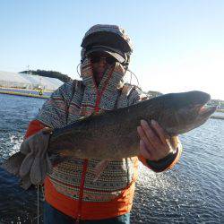 浜名湖フィッシングリゾート 釣果