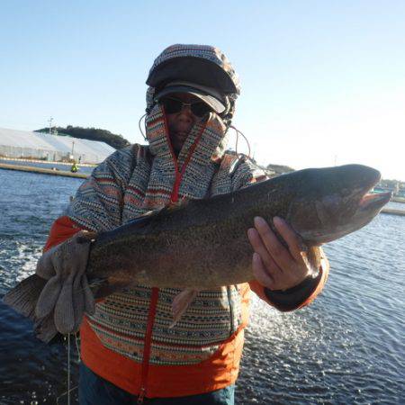 浜名湖フィッシングリゾート 釣果