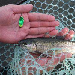 浜名湖フィッシングリゾート 釣果