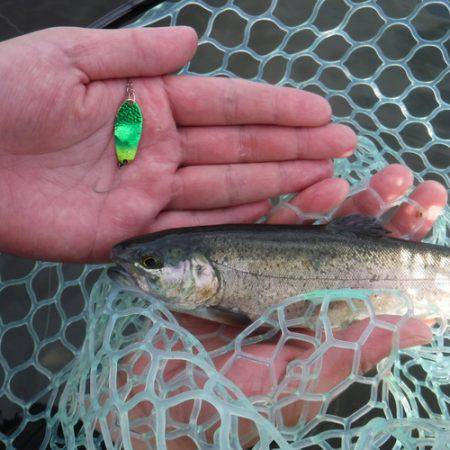 浜名湖フィッシングリゾート 釣果