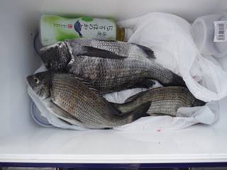 バラモン1号 釣果