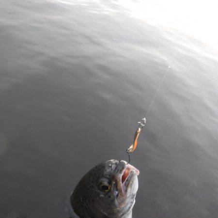 浜名湖フィッシングリゾート 釣果