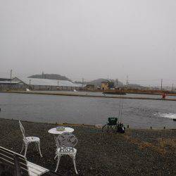 浜名湖フィッシングリゾート 釣果