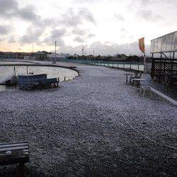 浜名湖フィッシングリゾート 釣果