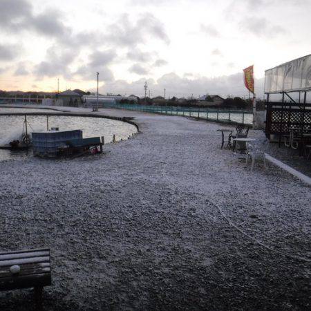 浜名湖フィッシングリゾート 釣果