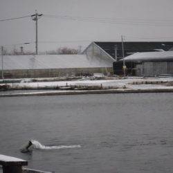 浜名湖フィッシングリゾート 釣果