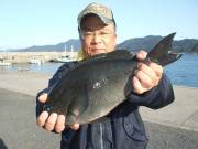 春日丸 釣果