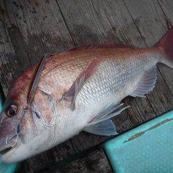 三吉丸 釣果