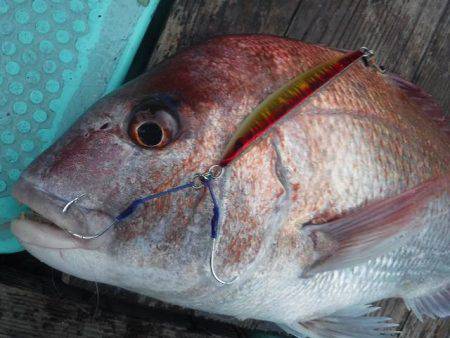 三吉丸 釣果
