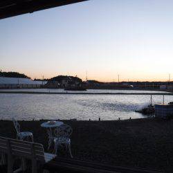 浜名湖フィッシングリゾート 釣果