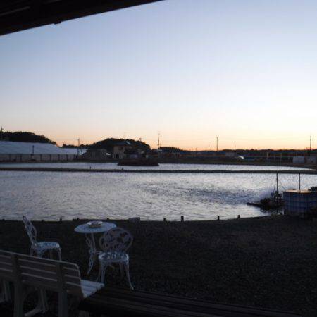 浜名湖フィッシングリゾート 釣果