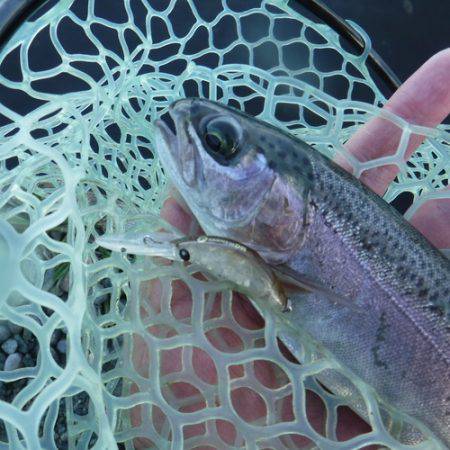 浜名湖フィッシングリゾート 釣果