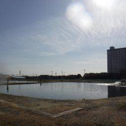 浜名湖フィッシングリゾート 釣果