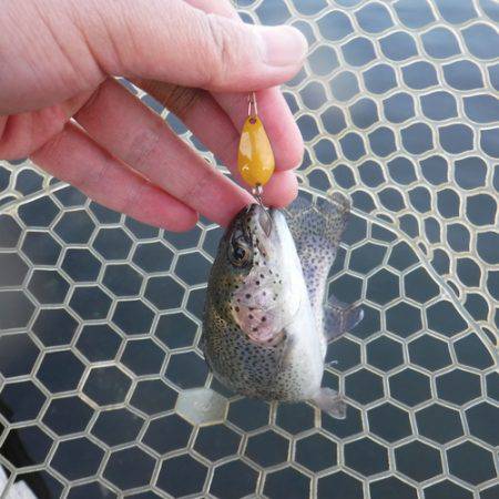 浜名湖フィッシングリゾート 釣果