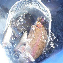 浜名湖フィッシングリゾート 釣果