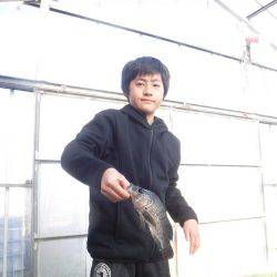 浜名湖フィッシングリゾート 釣果