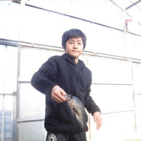 浜名湖フィッシングリゾート 釣果