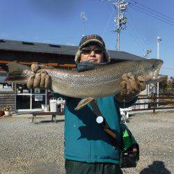 浜名湖フィッシングリゾート 釣果