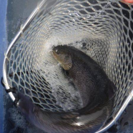 浜名湖フィッシングリゾート 釣果