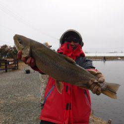 浜名湖フィッシングリゾート 釣果