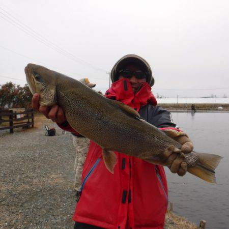 浜名湖フィッシングリゾート 釣果