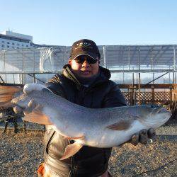 浜名湖フィッシングリゾート 釣果
